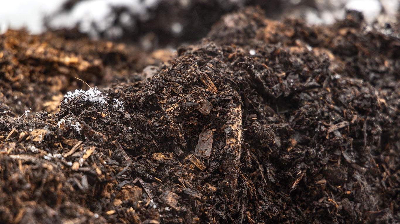 Dark compost soil close-up with some frost visible on top