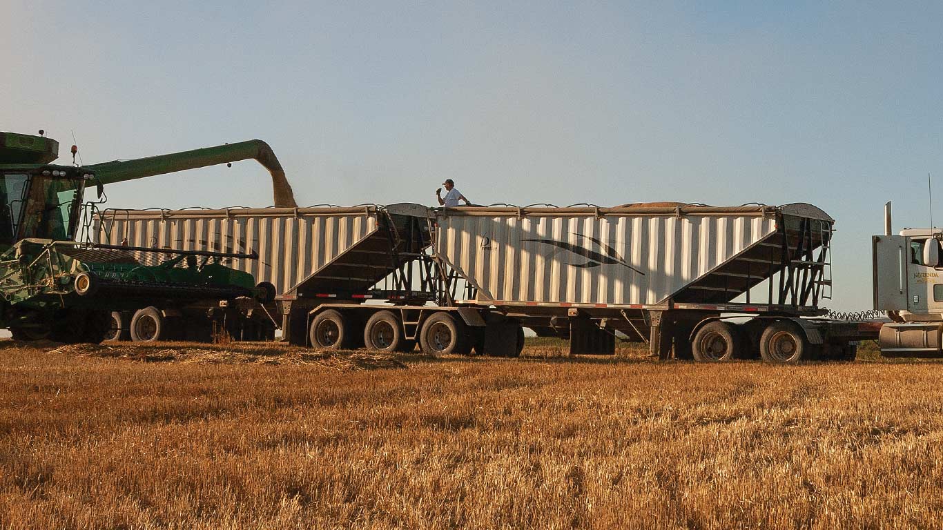 Combine unloading grain into two large hopper trailers in a harvested field.