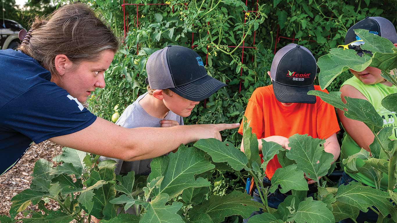 Group examining plants in a garden, with one person pointing at leaves.