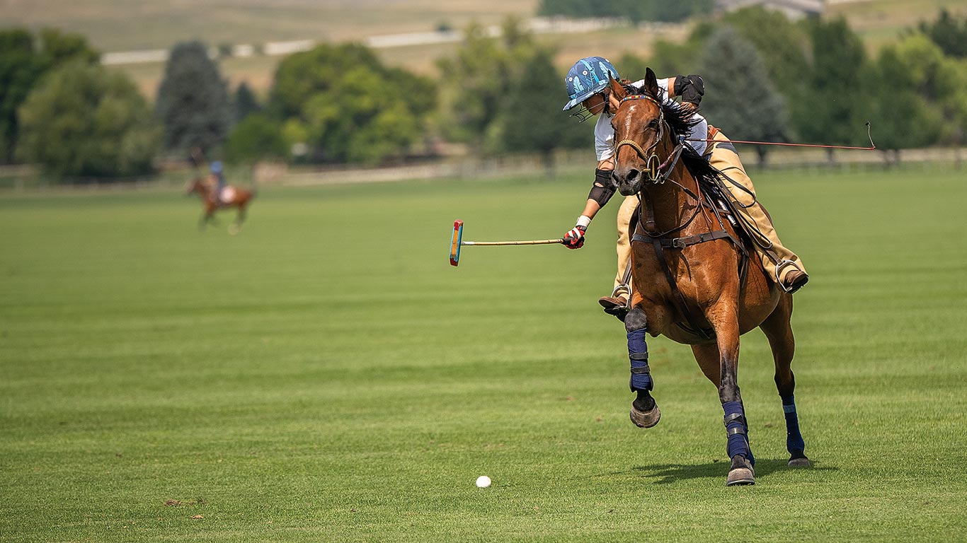 Polo player riding a horse strikes a ball on a grassy field during a match.