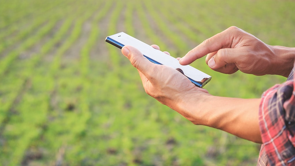 A farmer reviewing crop reports on their mobile phone.