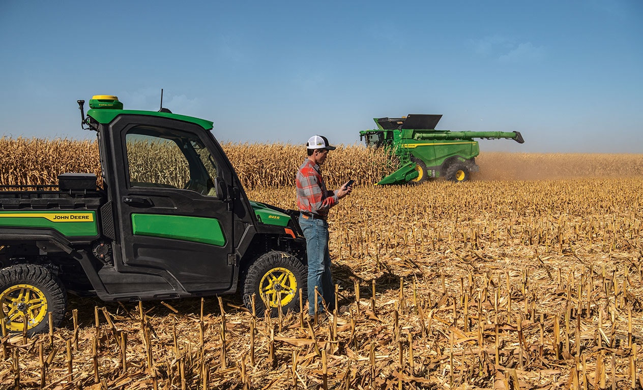 Corn crop being harvested by a combine