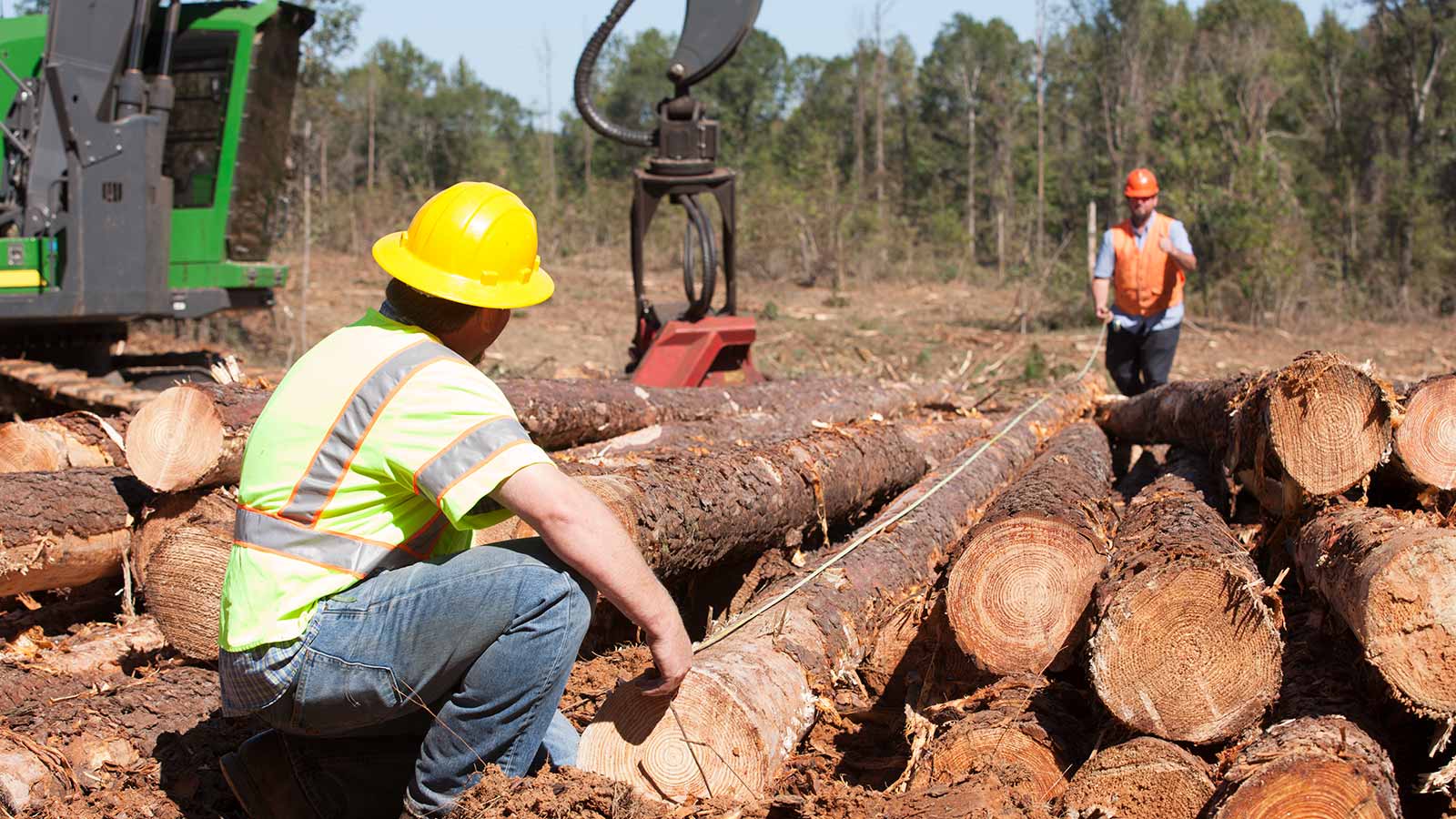 Image logging. John Deere 2154g. Logging Companies предложения. Tree Logger. Plantation logging co.