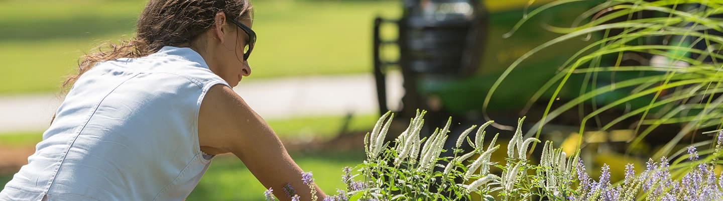 person tending to flowers