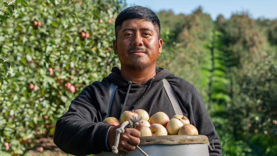 A farmer carrying a basket of fresh produce