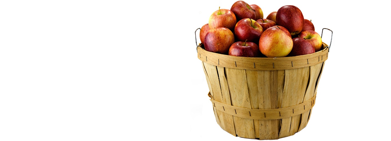 A basket of fresh apples