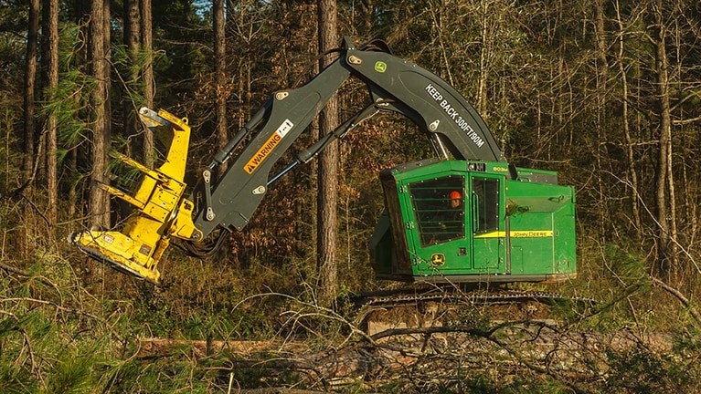 Feller Buncher 803M working in the forest