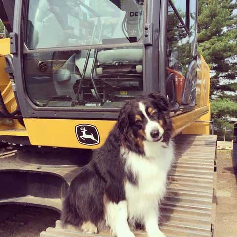 A dog sits by a John Deere Excavator