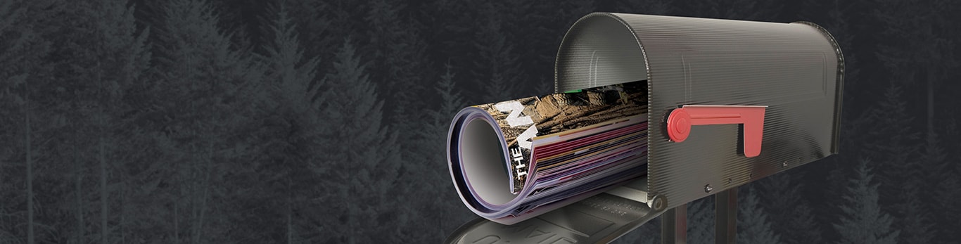 A mailbox filled with letters; the magazine on top is an edition of The Landing.