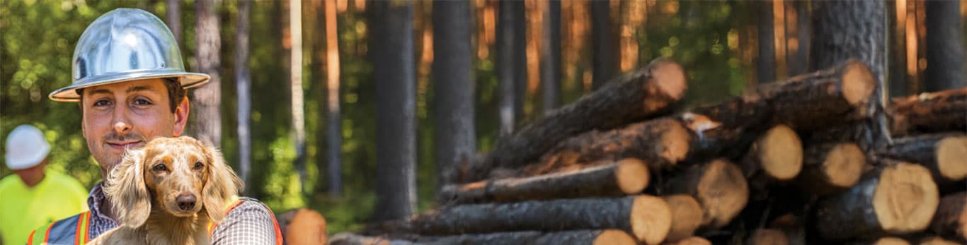 Josh holding a small dog and smiling in front of a forest