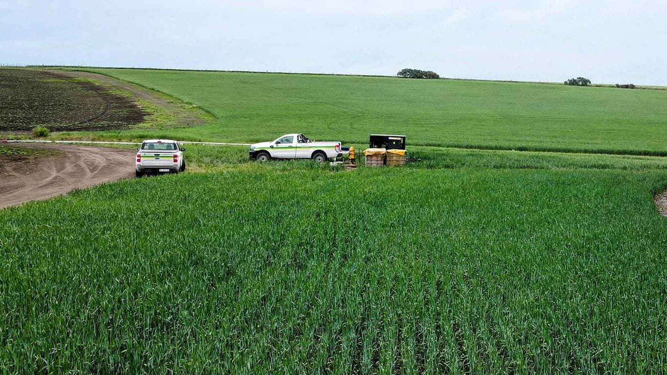 Chayé Hnos. John Deere-powered generator sets being used in a potato field in Argentina.