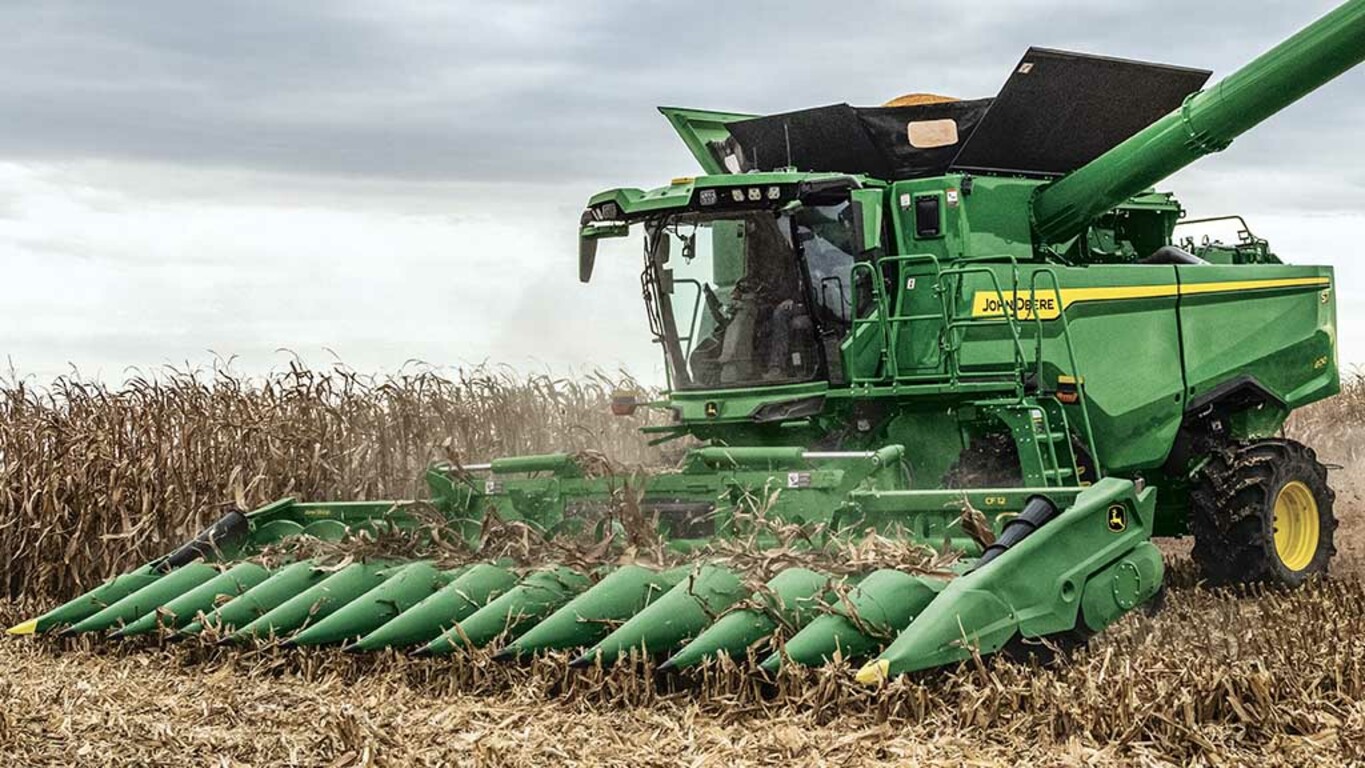 Harvesting Corn