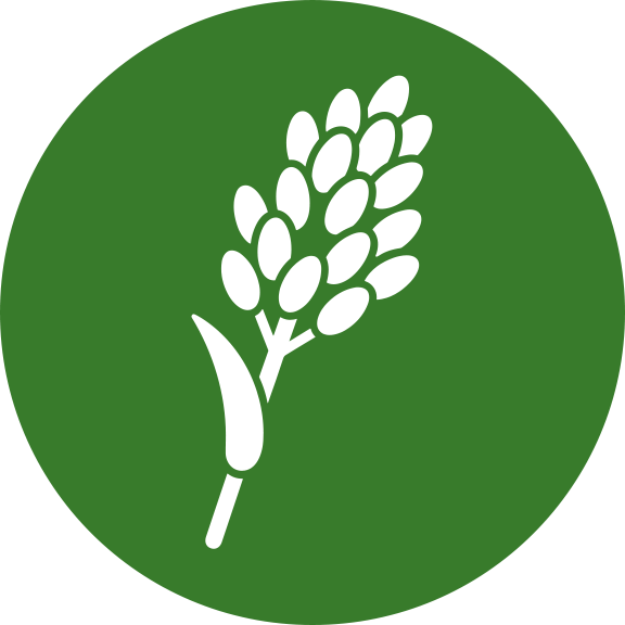 Graphic icon representing a sorghum plant.