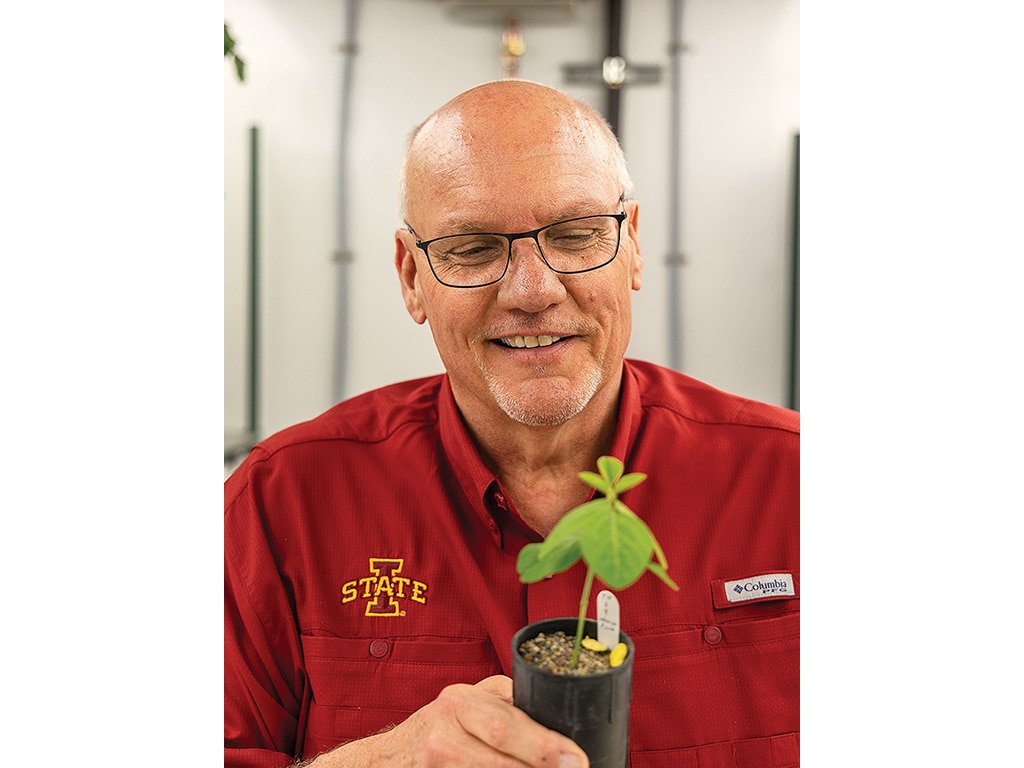  Bald man with glasses smiling at a seedling in a small plastic plater pot