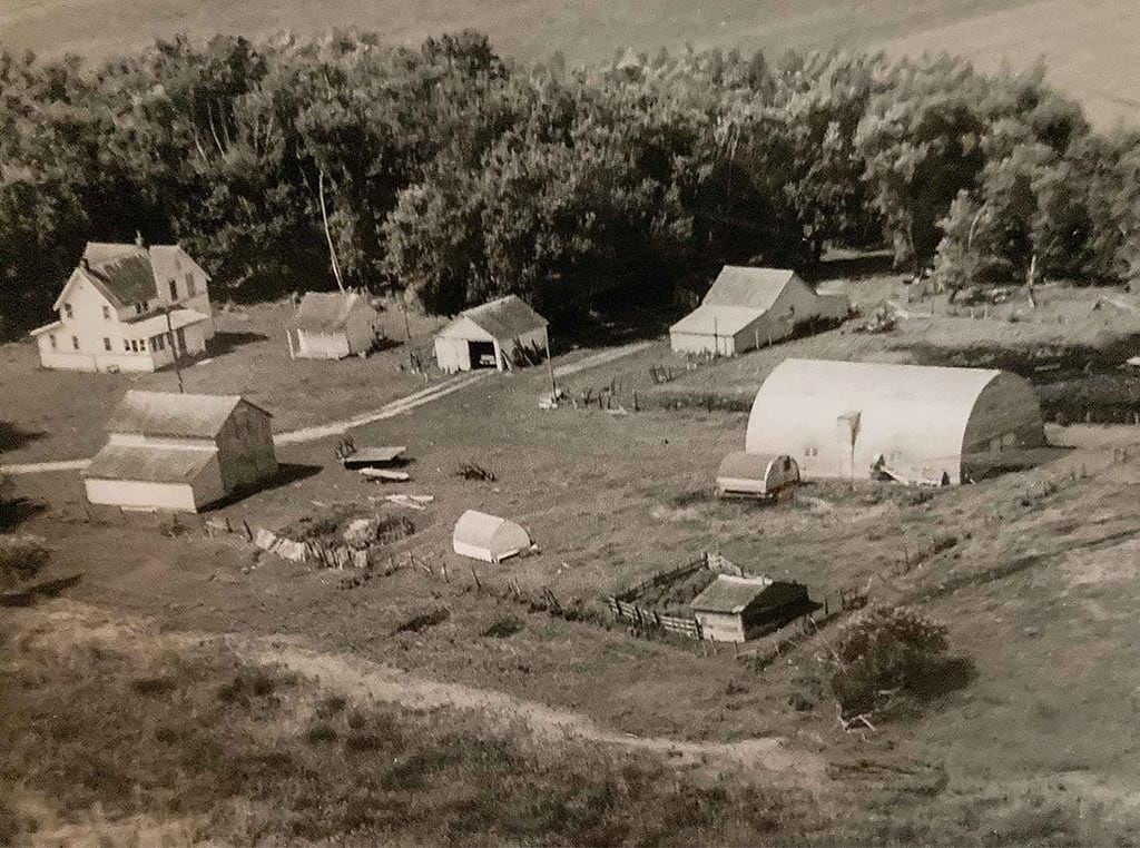 vintage aerial image of farm property