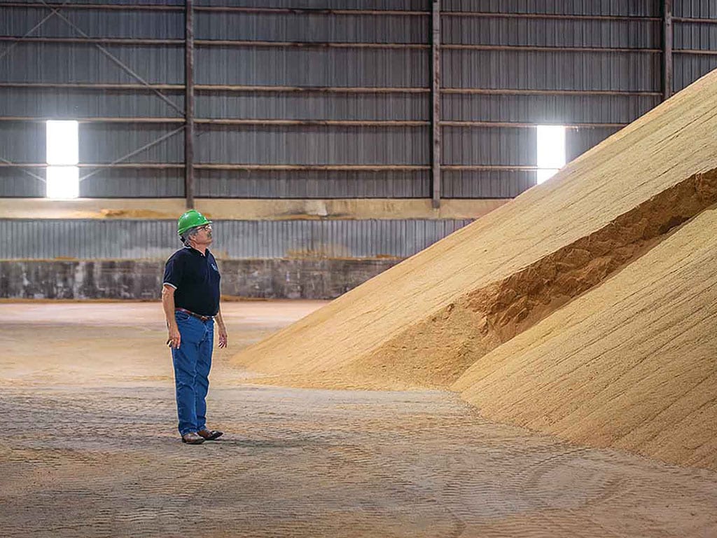 a person standing at the bottom of a tall pile of grain inside of a warehouse