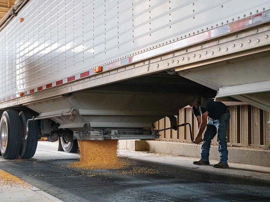 the underside of a semi tractor trailer releasing grain from a gravity fed hatch