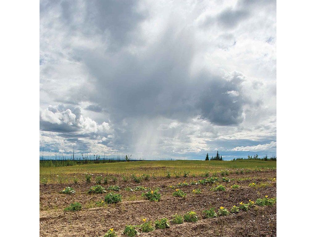 view of a field and sky with a rain falling from a cloud in the distance