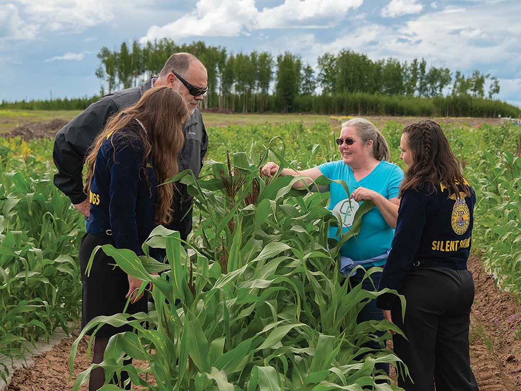 four farmers inspecting young corn plants in a field with trees in the distance