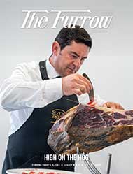 A chef wearing a black apron and white shirt thinly slicing Iberico Spanish ham holding the edge of the slice with wide tweezers