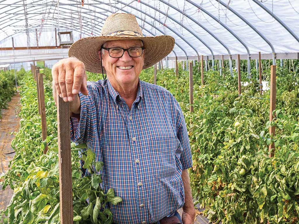 Smiling farmer with a wide-brimmed straw hat standing under plastic tarps surrounded by plants growing up tall wooden stakes