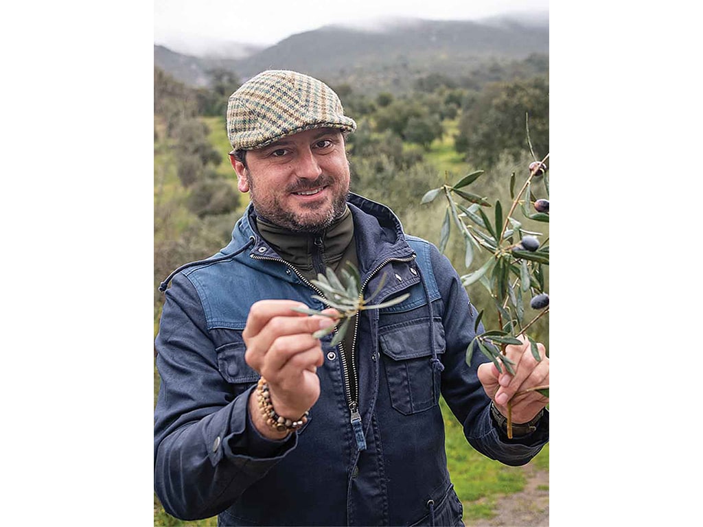 a smiling olive farmer holding up olive branches on a hillside