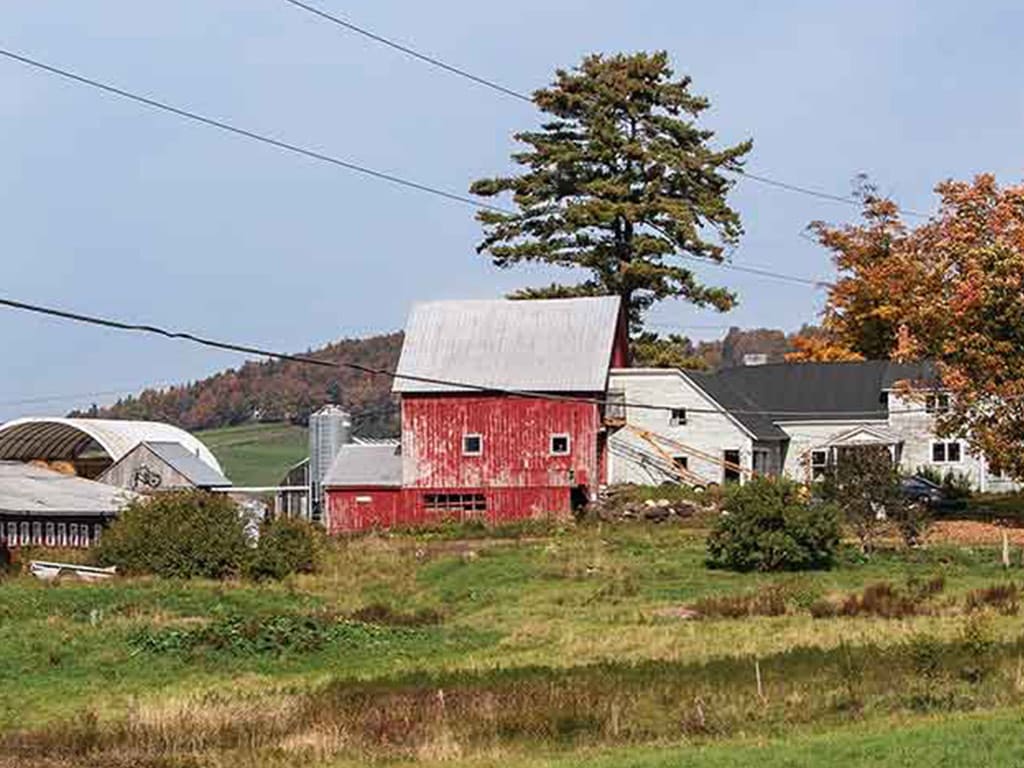 a red dairy farmhouse surrounded by a distant silo, covered feedlot, and weathered white and greyhouse