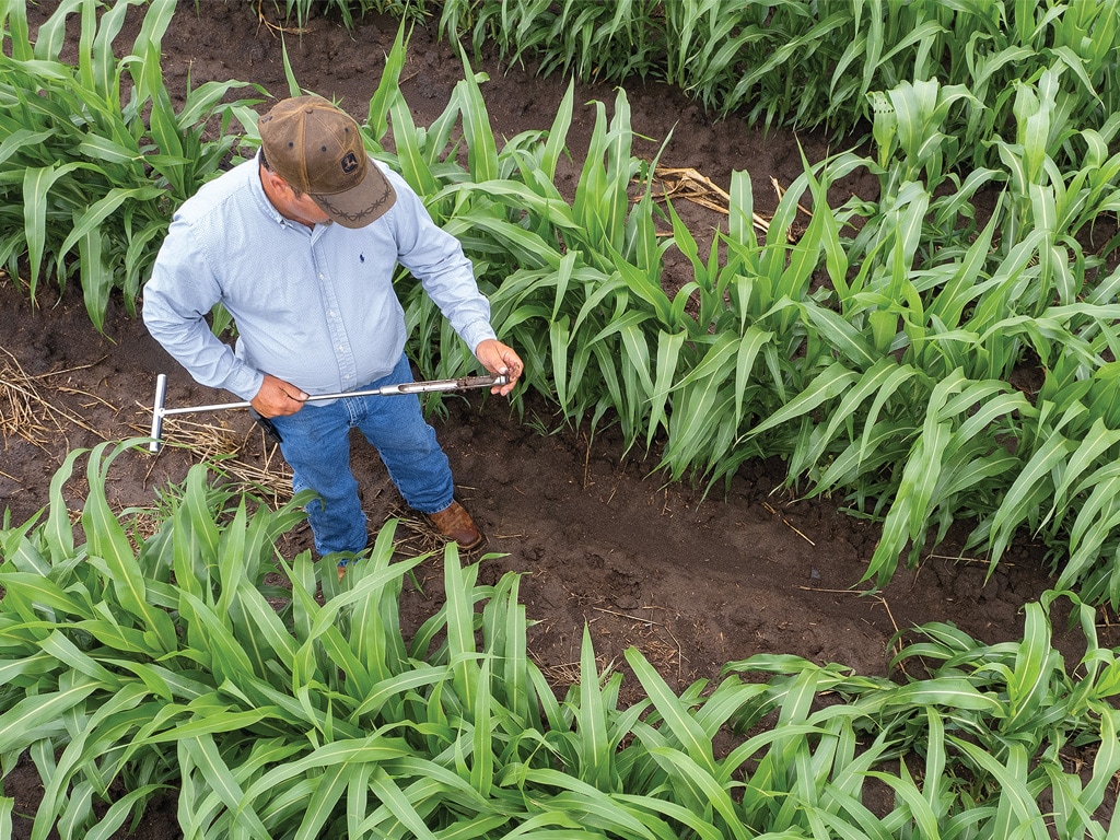 aerial view of farmer doing soil tests between rows of plants