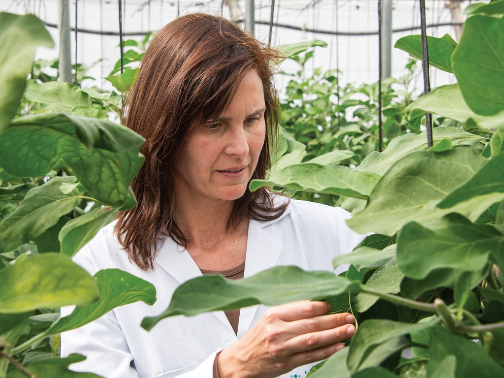 a scientist in a lab coat inspecting plant leaves