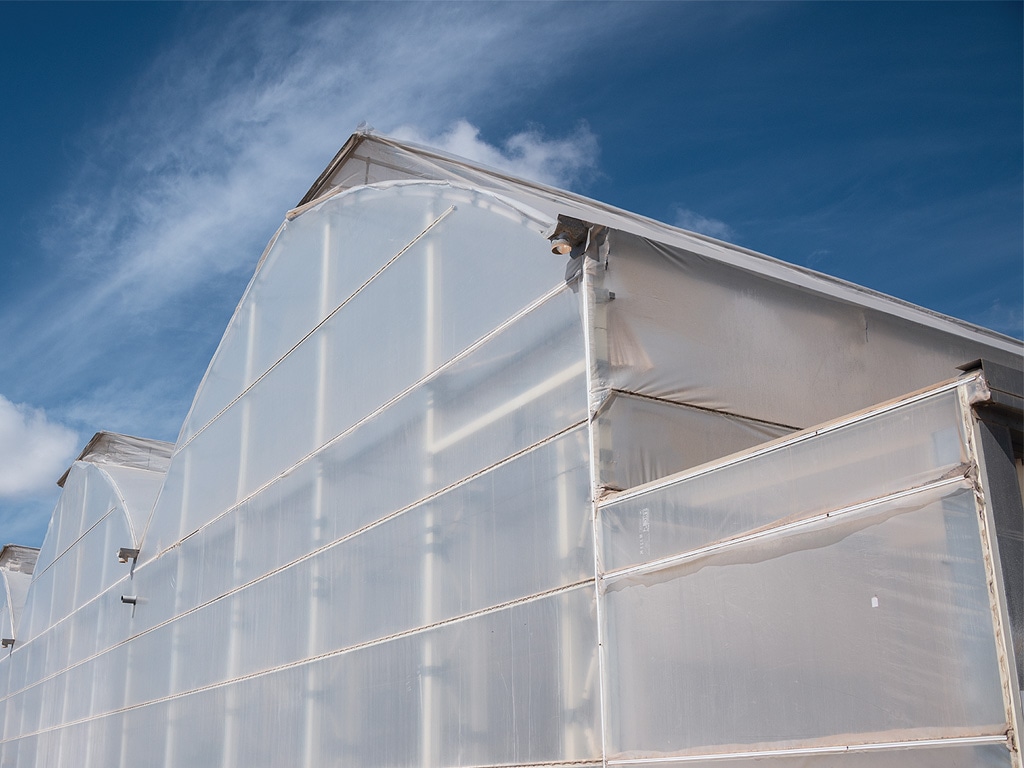 greenhouses wrapped in plastic