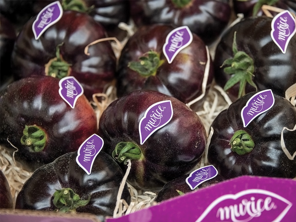 closeup of purple tomatoes with purple labels on them