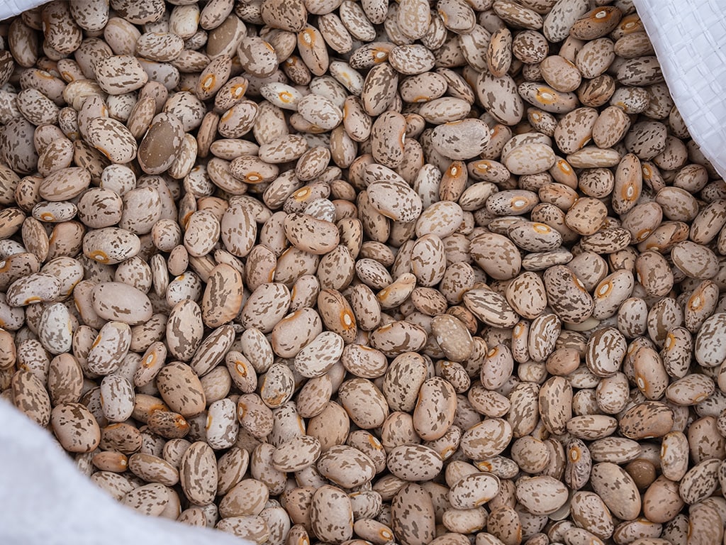 close-up view of a large number of pinto beans