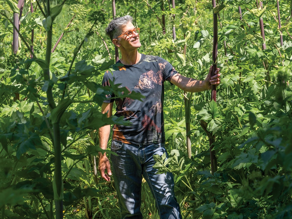 person in a in a field of greenery looking at and holding a stick