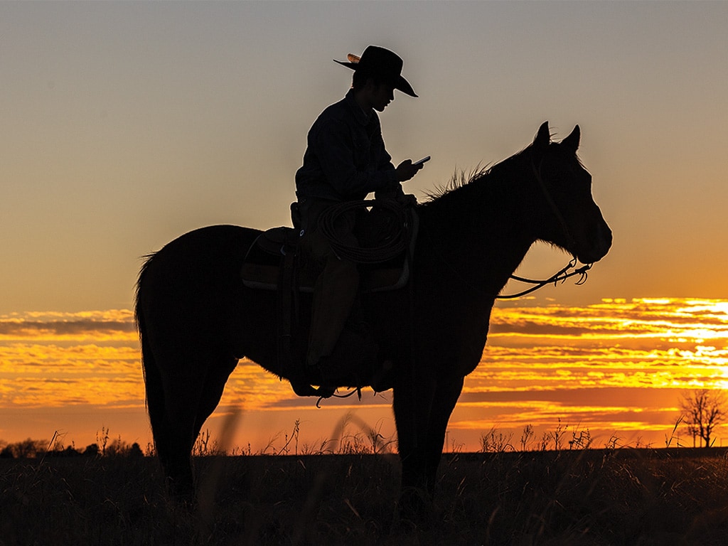 the silhouette of a person on a horse with the sunset in the background