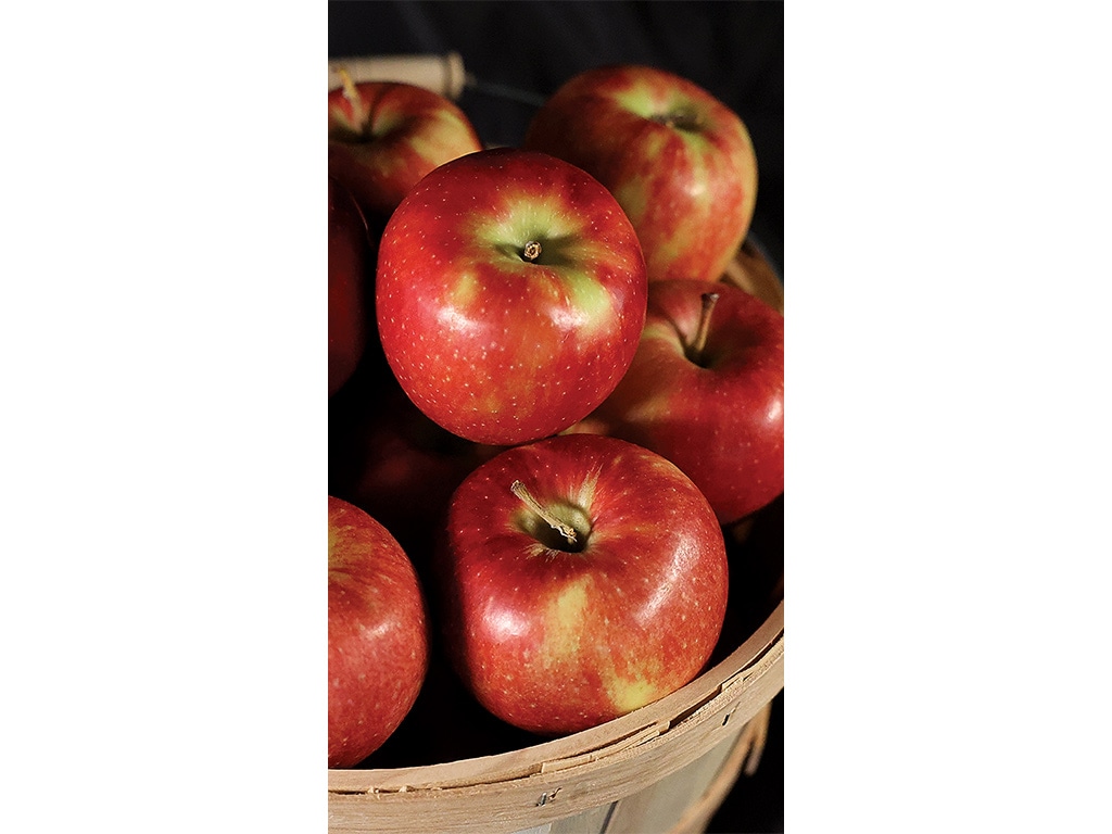 closeup of apples in basket