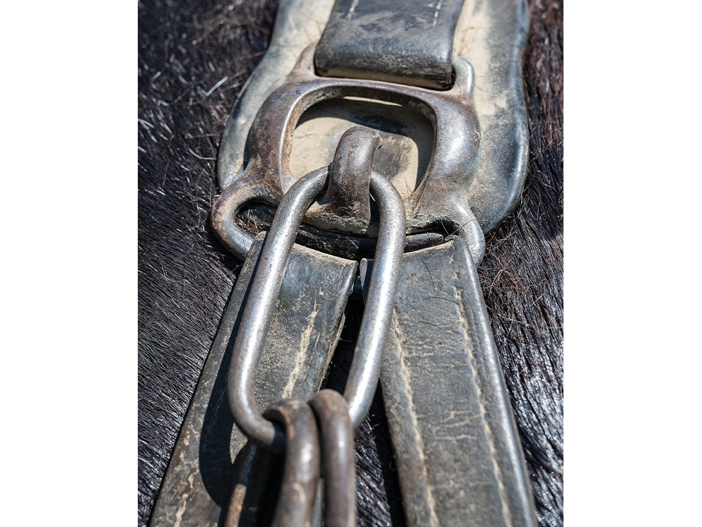 Closeup of antique horse equipment