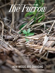 weeds and sticks on the ground