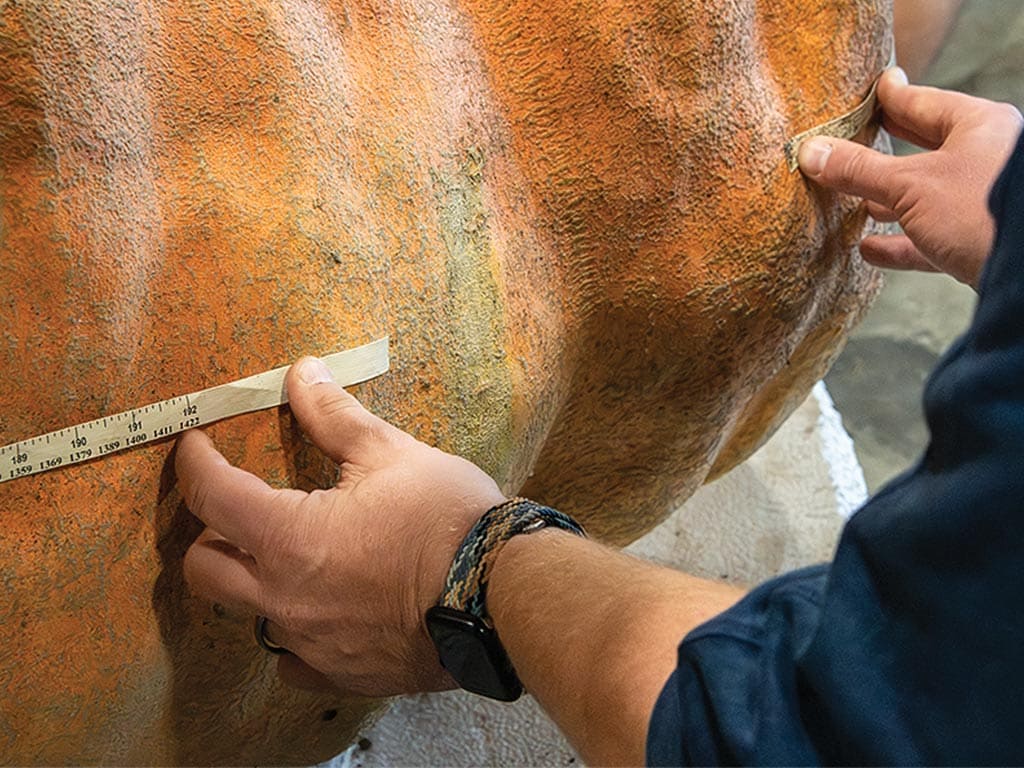 A pumpkin being measured with tape too small for it