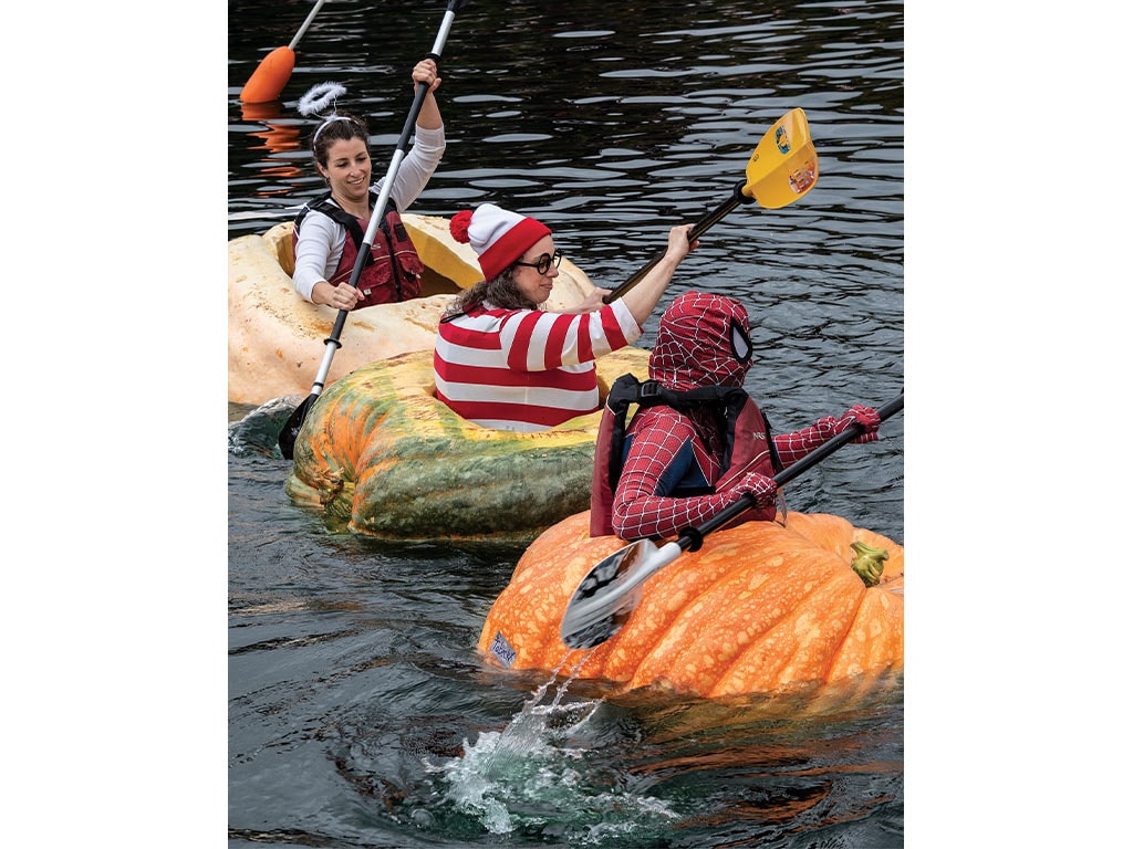 A angel, Waldo, and spiderman row giant pumpkins