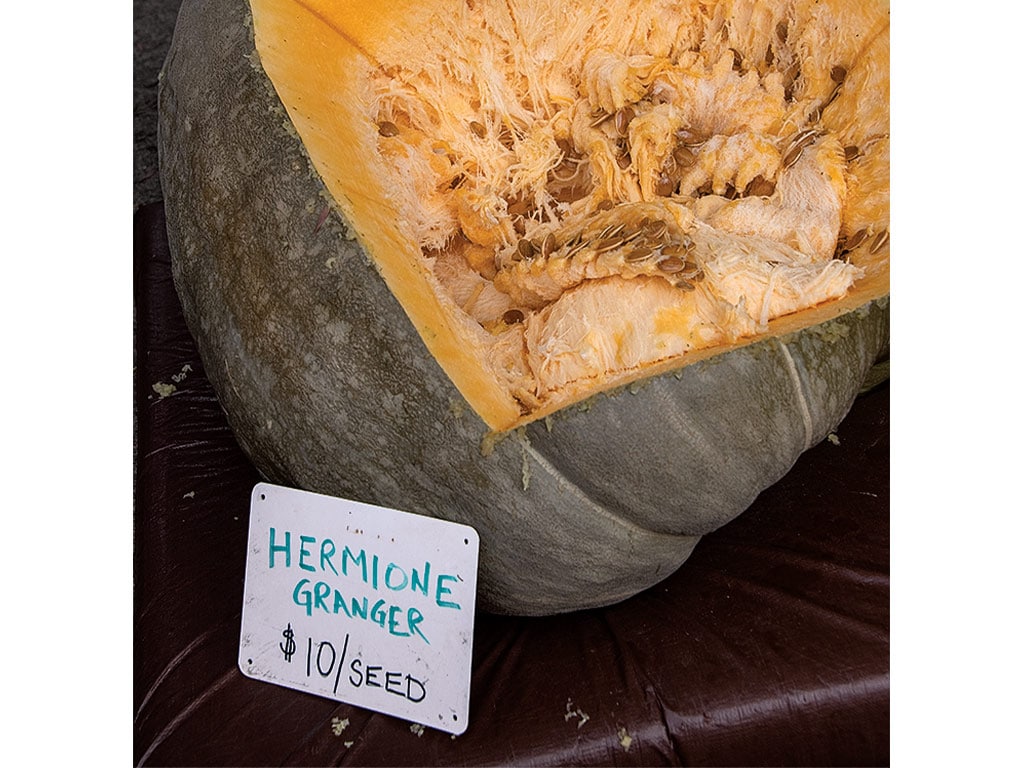 a carved open pumpkin with exposed seeds, a sign reads 'Hermoine Granger, $10/seed'