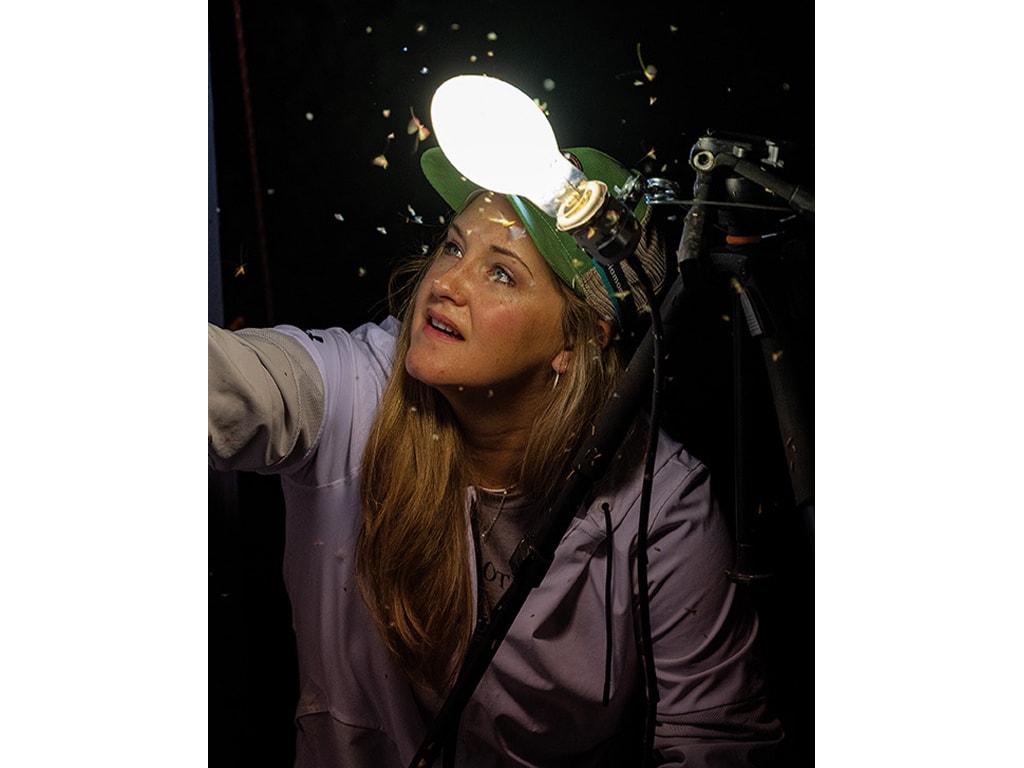 Marian Kirst with a headlamp surrounded by moths