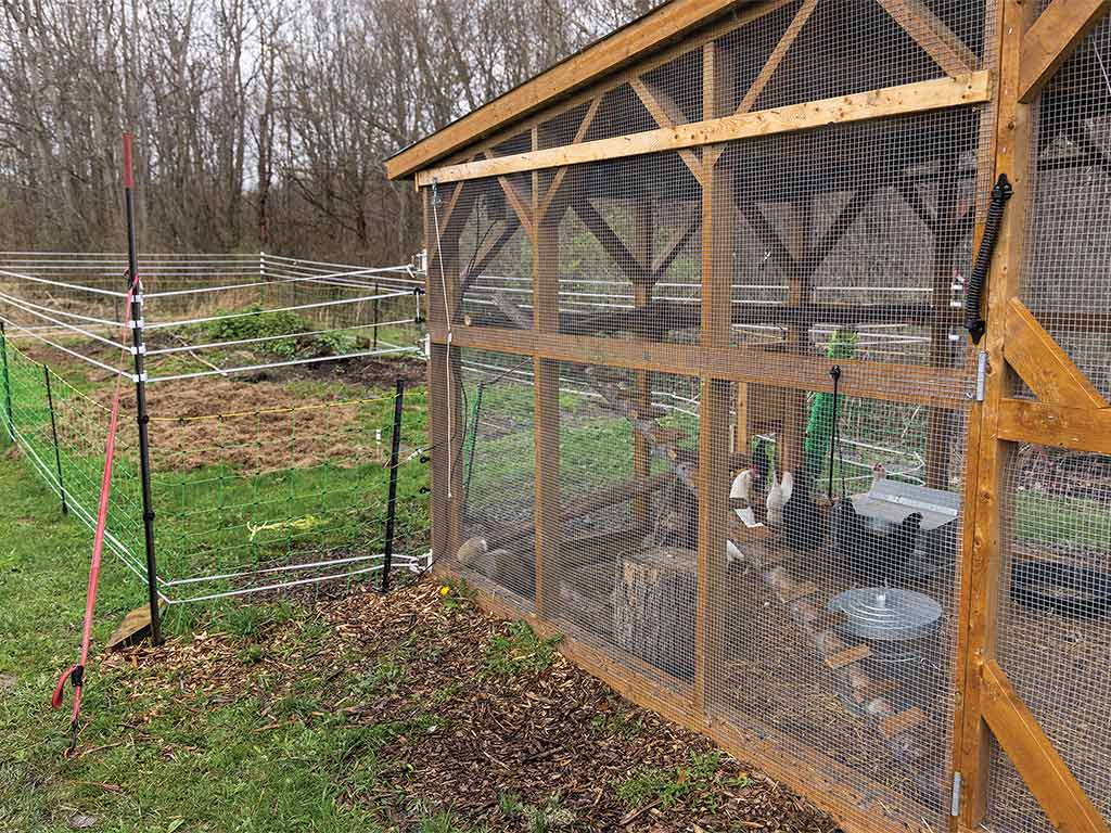 chicken coop with electric fencing 