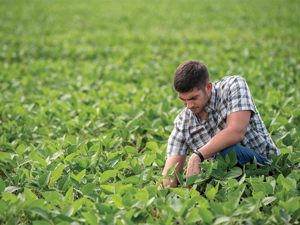 Frank Rademacher kneeling in a crop field