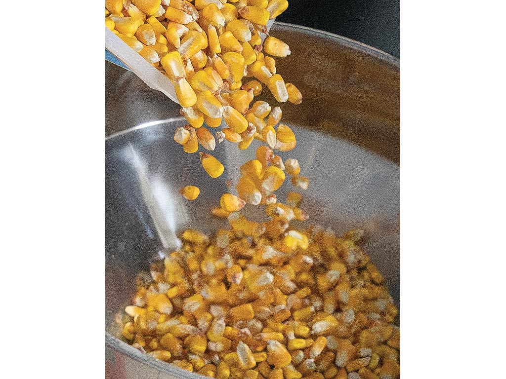 corn being poured on to the other bowl of corns