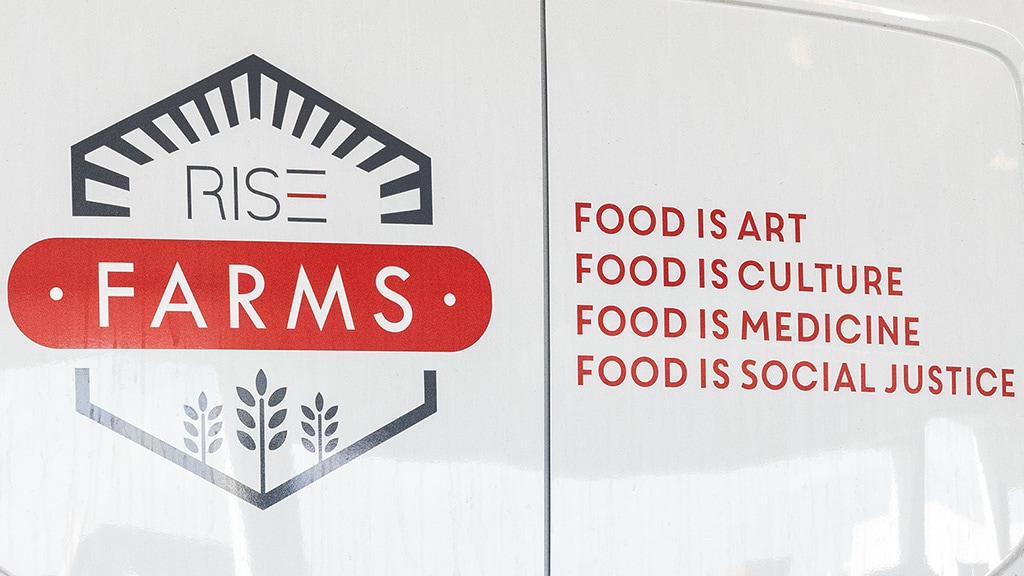 RISE Farms. Food is Art. Food is Culture. Food is Medicine. Food is Social Justice.