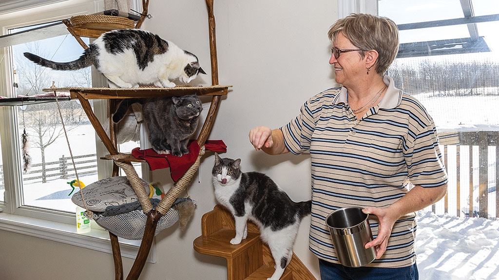 multiple cats on a scratching tower and a person standing next to it