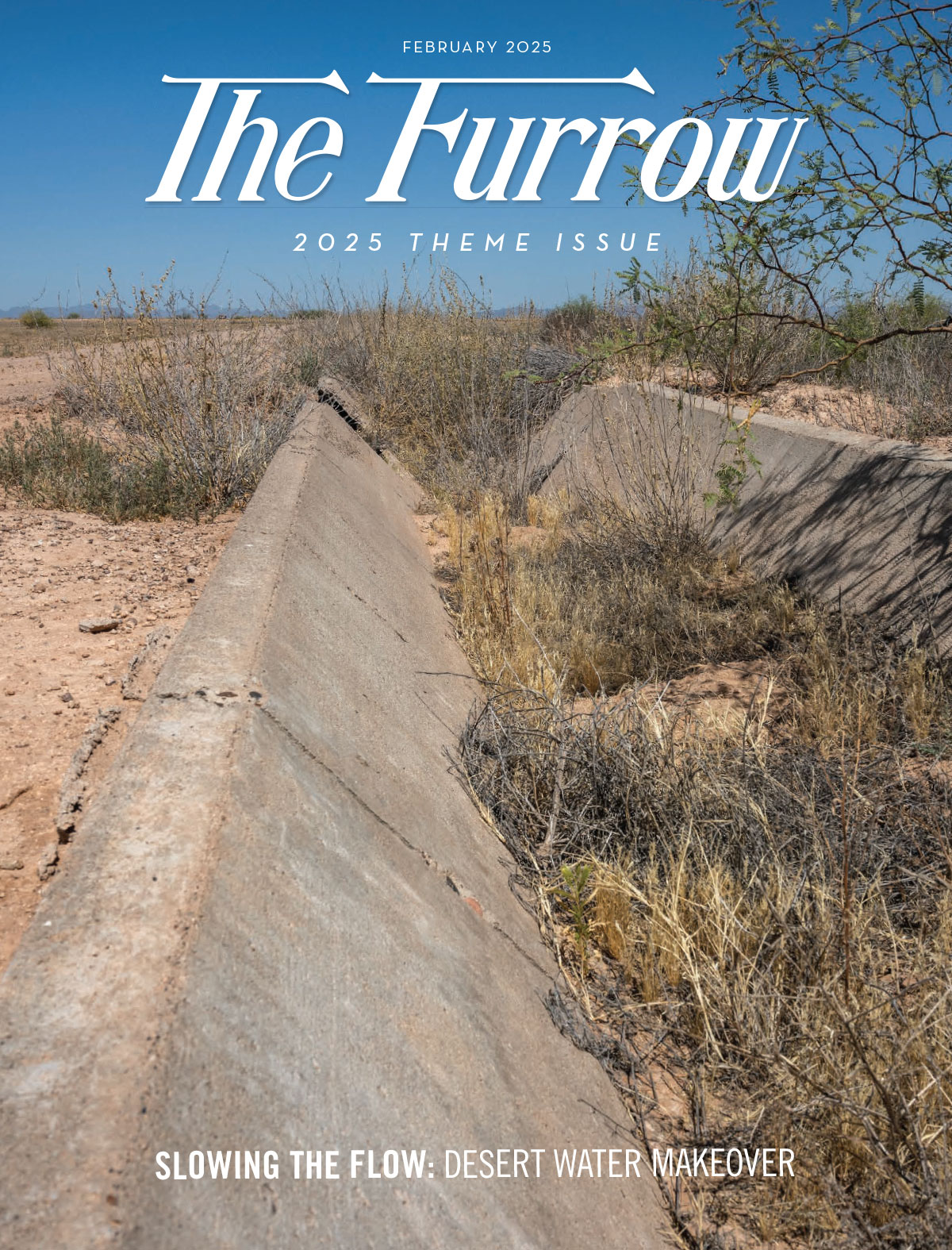 A concrete drainage ditch in the desert full of brown shrubs