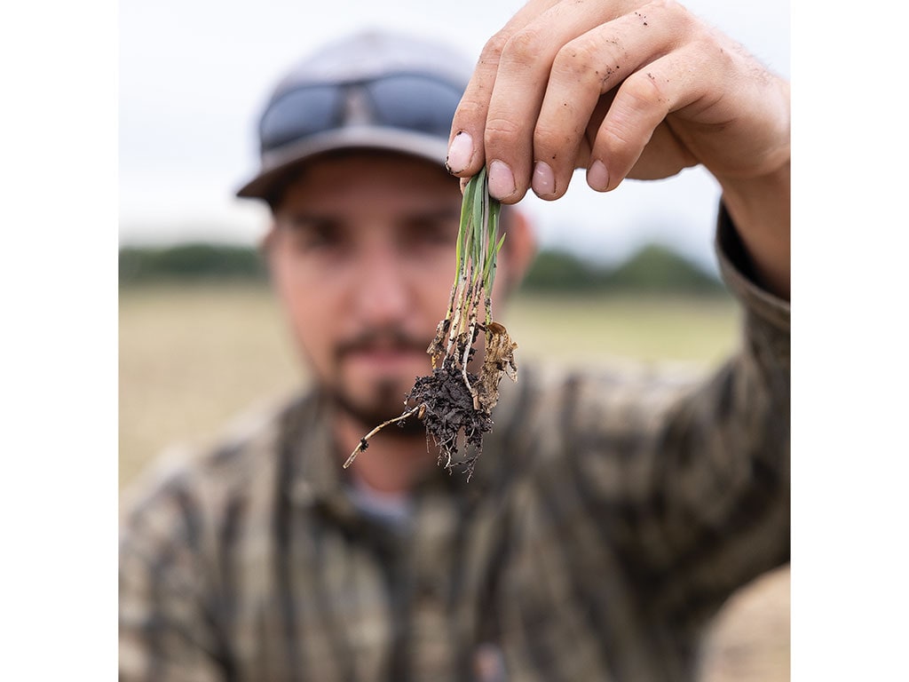 Person in camo holding a plant with soil and roots exposed.