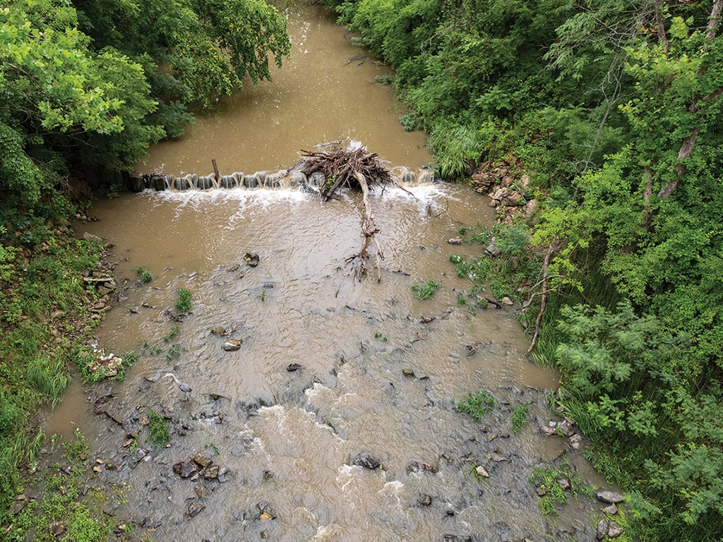 An aerial view of a muddy creek with a small waterfall and fallen tree, surrounded by lush green foliage and rocky banks.