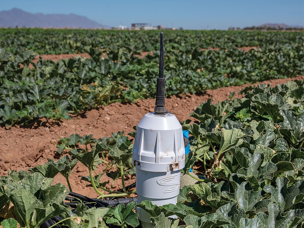 Electronic device with antenna in a field of crops, against a clear sky.